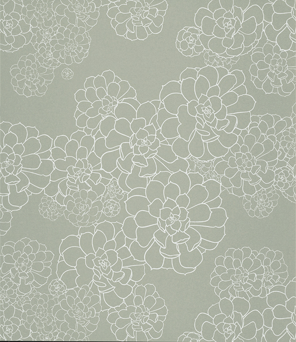 Обои Paint and Paper Library Tresco Aeonium Steel 0393AESTEEL